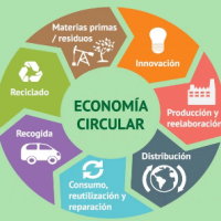 Economía circular, una mirada al futuro que debe empezar hoy.